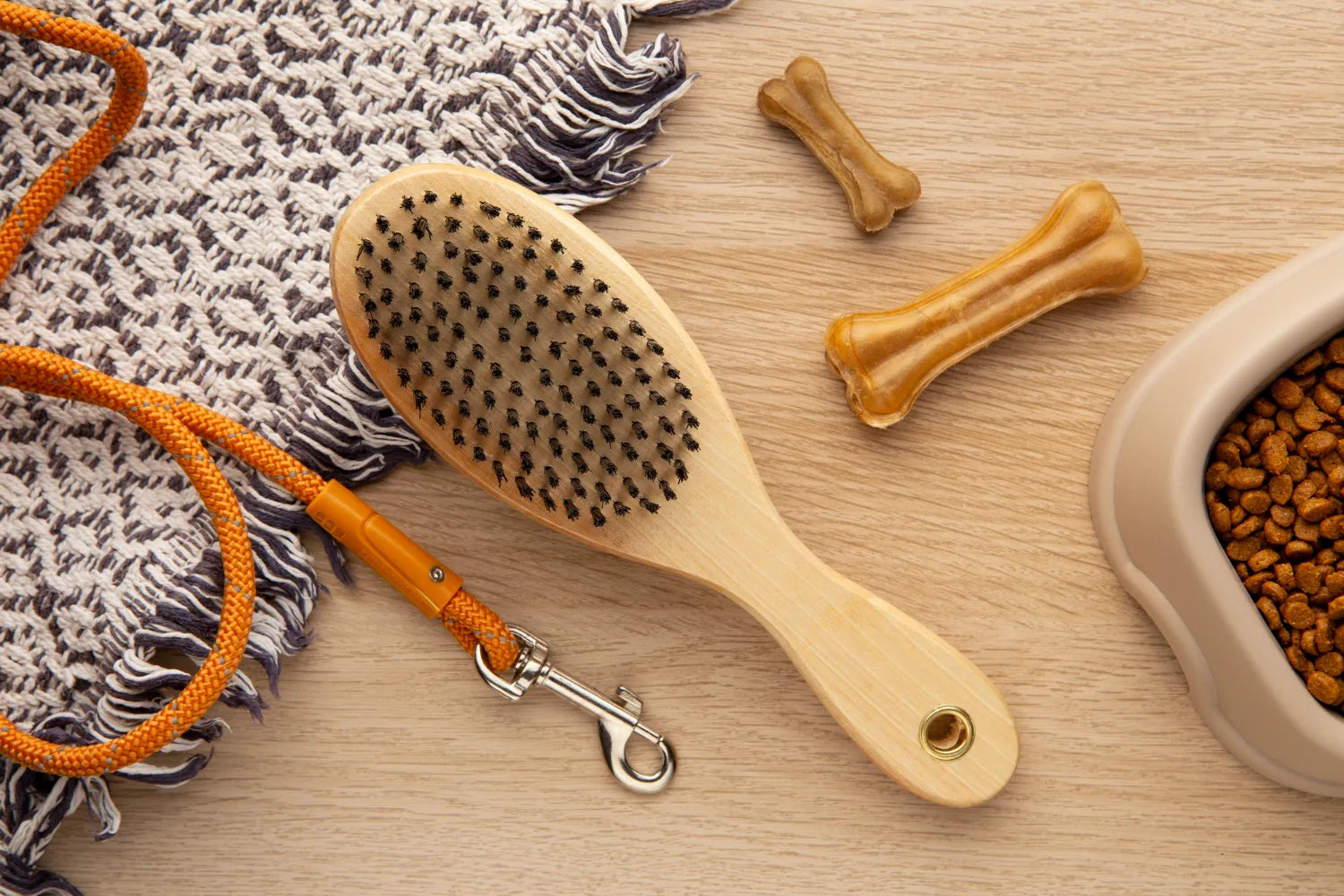 Pet Accessories